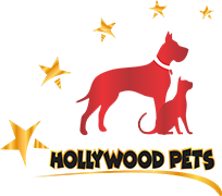 Hollywood Pets Corporation