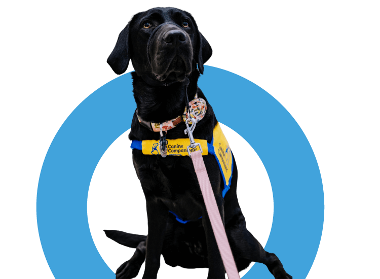 Mascota de Servicio