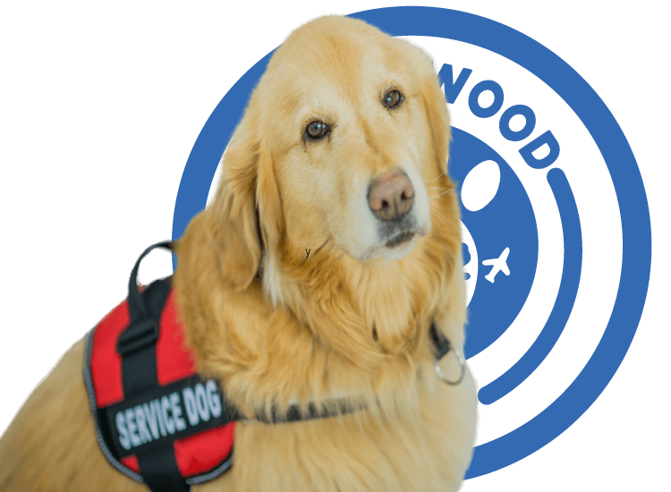 Mascota de Servicio