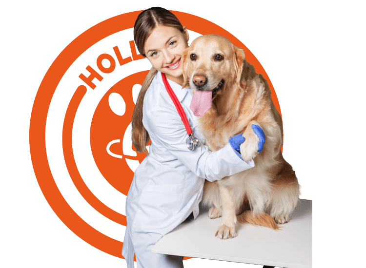Servicio Veterinario