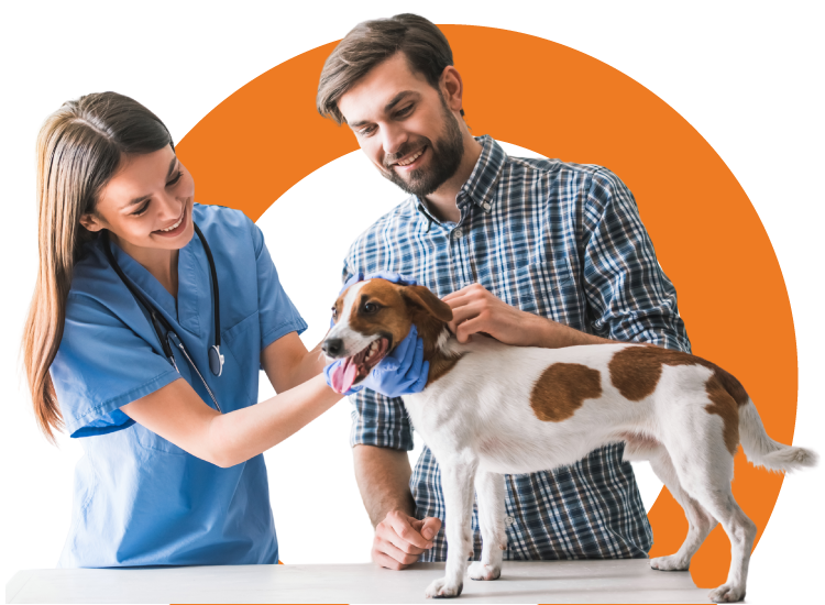 Servicio Veterinario