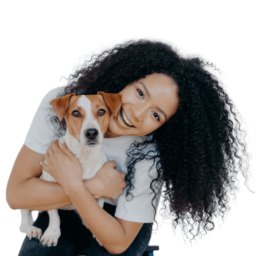 Hollywood Pets