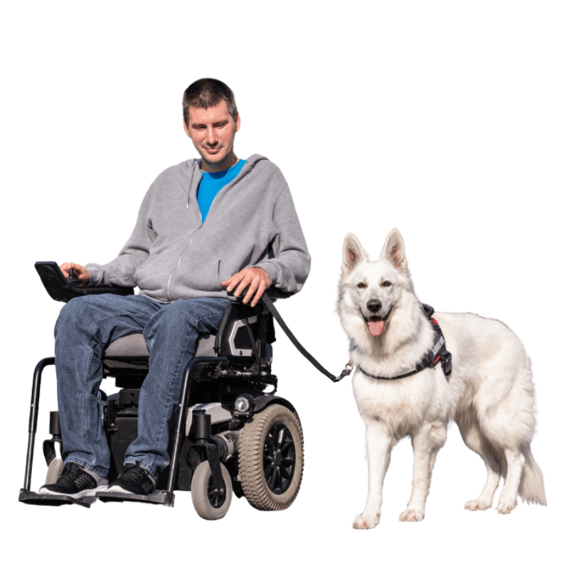 Certificación Perro de Servicio