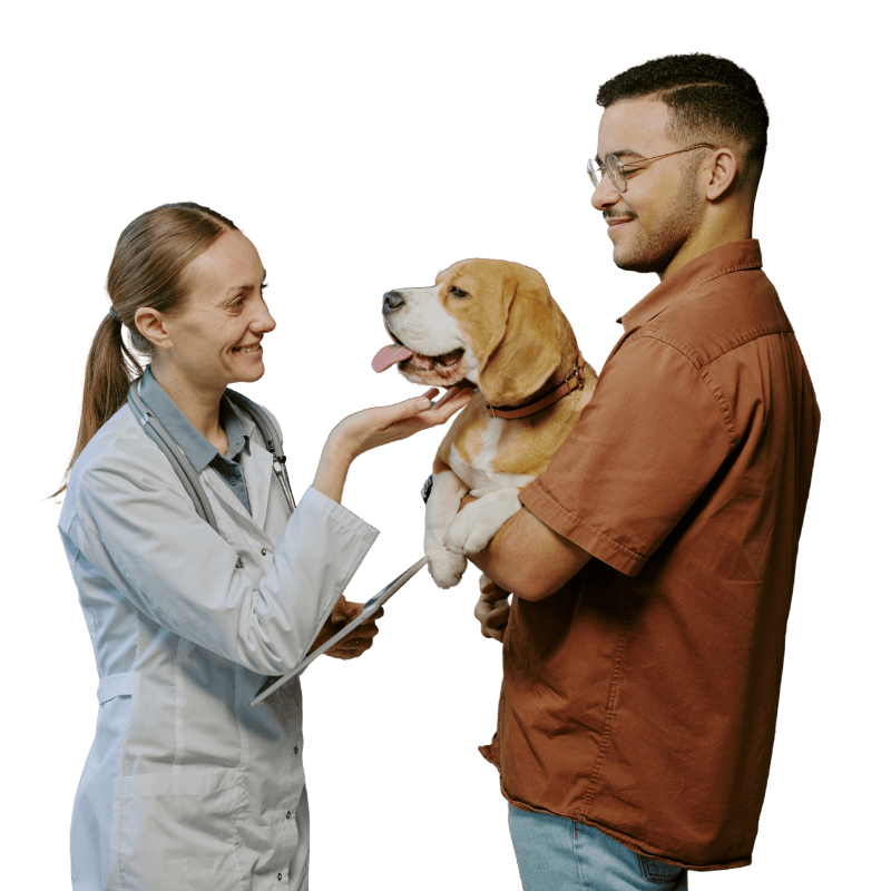 Documentación Mascotas